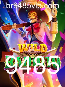 Descubra o Universo de Aventura com WildBandito